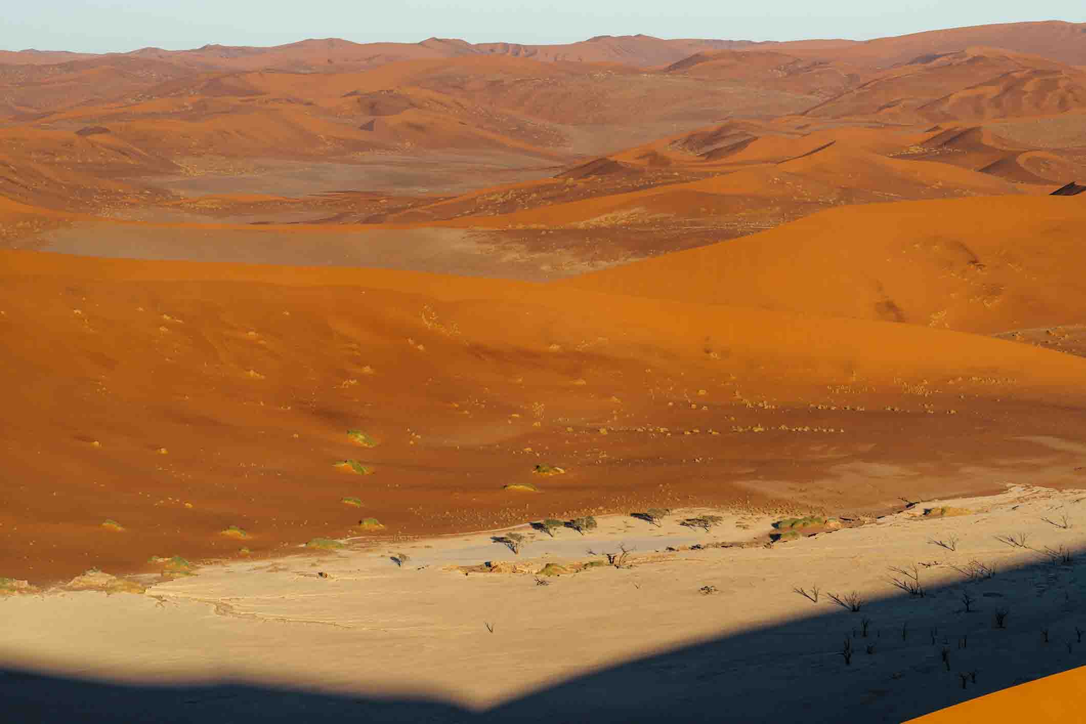 Namib Desert