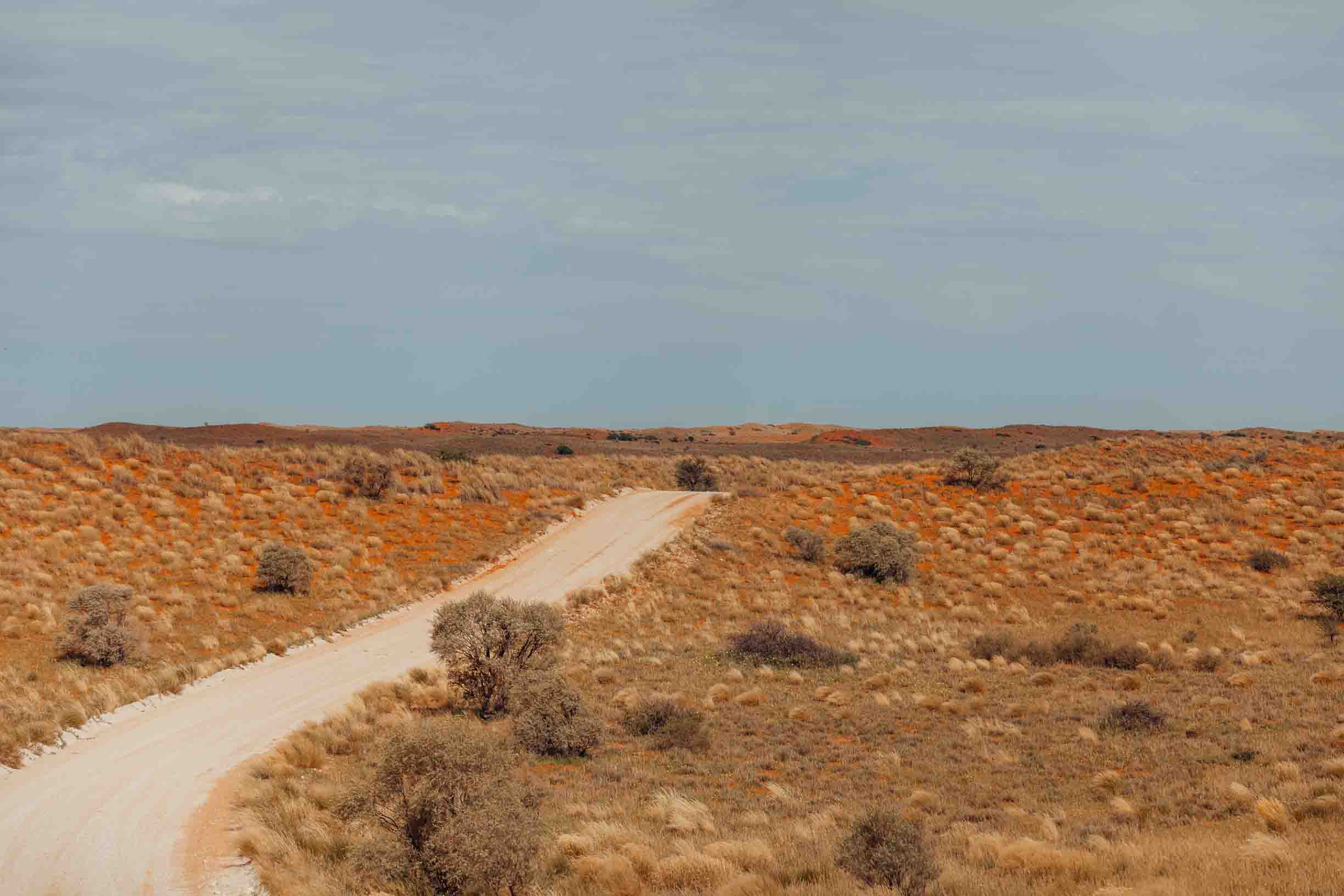 Kalahari Desert